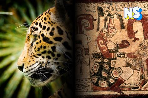  The Witch and the Jaguar -  A Story of Cunning Deception and Unexpected Consequences From Sixteenth-Century Mexico?